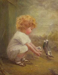 Niña Alimentando a las Palomas
